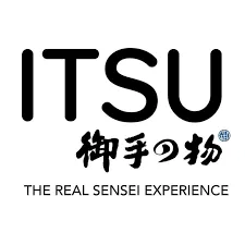 ITSU Massage Chair
